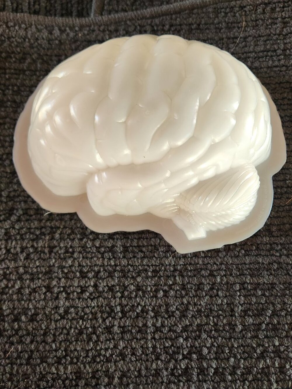 Plastic Brain Mold - 8"